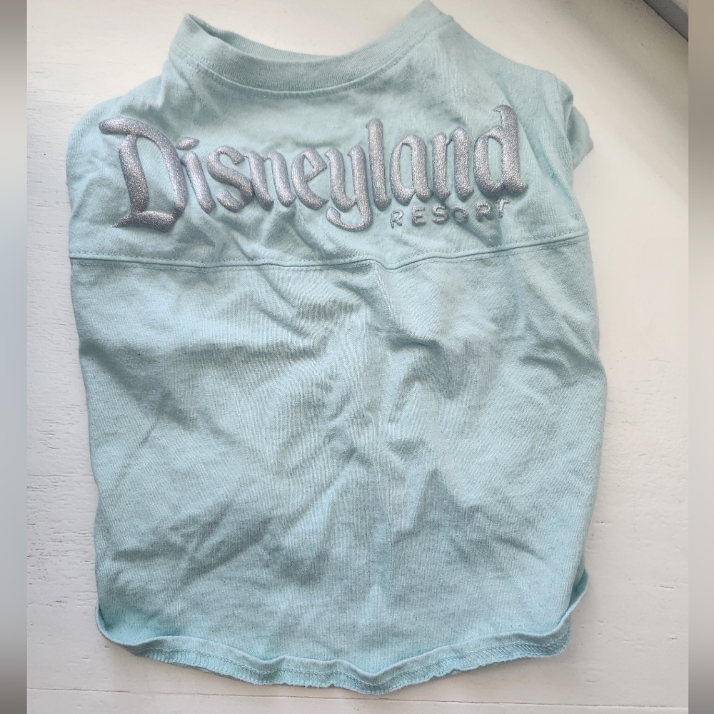 Disney Spirit Jersey Matching Set